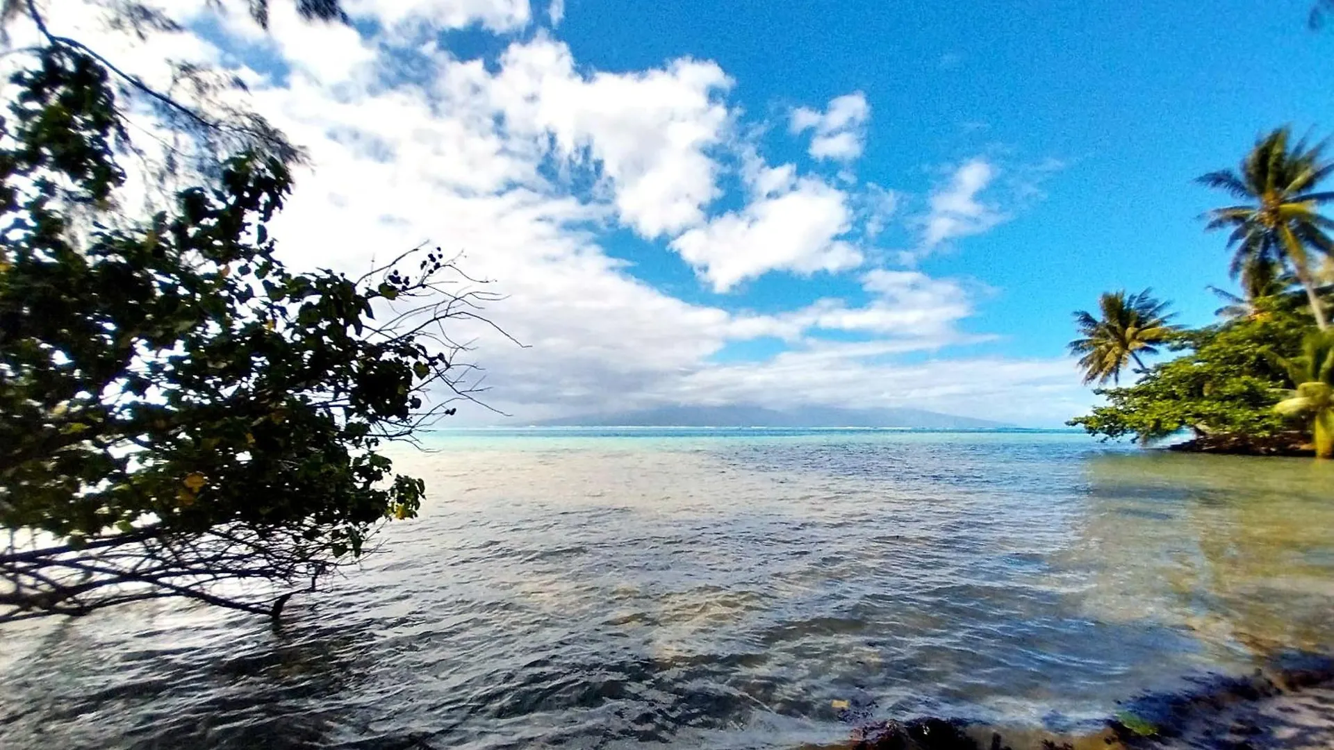 Moorea - Utuafare Oaoa Room Toru Afareaitu